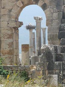 Volubilis